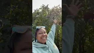 Let&rsquo;s forage Sumac for a tasty drink