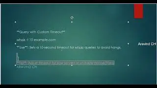Query with Custom Timeout whois   Lesson 23