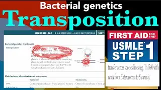 Bacterial genetics- Transposition in Hindi/Urdu by first aid for USMLE step 1