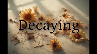 Decaying: A visceral journey into the daily struggle of living with chronic pain
