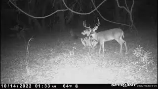 Honest 2 year SPYPOINT trail camera review. Link Micro S LTE. Best trail camera ever?