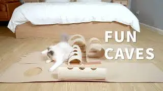 All for paws - Fun caves