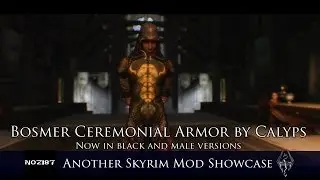 Bosmer Ceremonial Armor by Calyps (Black and Male versions)