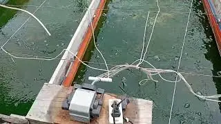 Aerator terbaik untuk budidaya ikan nila skala rumahan || RESUN AP 50