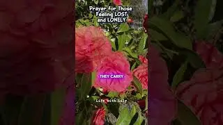 A prayer for lost and lonely