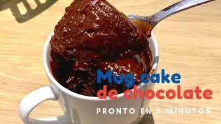 O melhor  bolo de caneca (mug cake) de chocolate - pronto em 2 minutos!