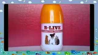 Bluecross Animal Healthcare Pvt Ltd
