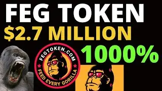 FEG TOKEN | $2.7 MILLION IN TWO WEEKS | FEG RISE | FEG CRYPTO