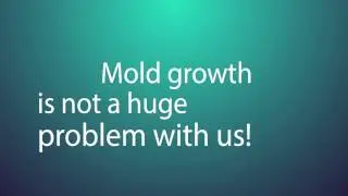 Searching for Mold Remediation in Boynton Beach FL? Call: (561) 270-4034