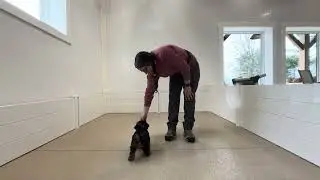 Stack Training Session 01/13