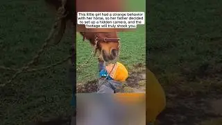 This girl had a stranger behavior with her horse #trendingshorts #suspensestories #viralshort