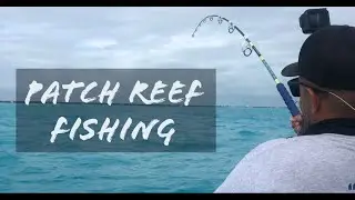 Spinner Sharks schooled me while Patch Reef Fishing | Florida Keys