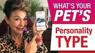 What's your pet's personality type? And tips on how to nurture them.