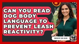 Can You Read Dog Body Language To Prevent Leash Reactivity? - Obedient Dog Guide