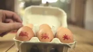 Baby loves eggs - British Lion eggs safe for all