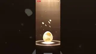 Pokemon GO: 5K Egg!