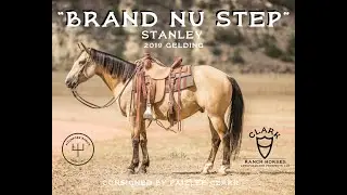 BRAND NU STEP aka 