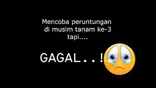 gagal panen