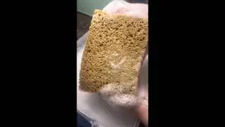 SPONGE RINSE 🧽