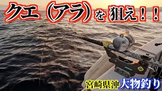 宮崎県沖で高級魚クエ（アラ）を狙う！！