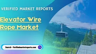 Top 10 Companies In Elevator Wire Rope Market Size And Forecast : Verified Market Reports