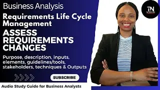 Requirements Lifecycle Management (Assess Requirements Changes) Business Analysts Business Analysis
