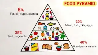 Food chart drawing for project | Food pyramid drawing easy | How to draw food pyramid idea