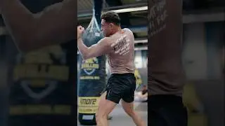 Alan Omer Stallion Gym !! #mma #mmafighter #motivation #shorts