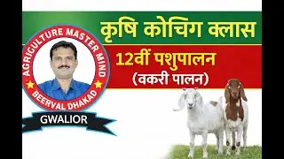 12 Class Goat Farming/bakripalan