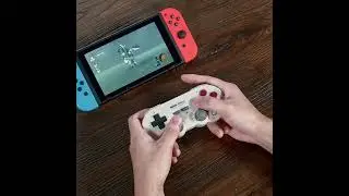 8BitDo SN30 Pro Wireless Bluetooth Gamepad with Hall Effect for Switch
