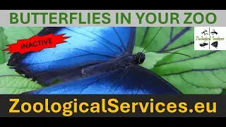A Butterfly House in your Zoo, a win-win investment