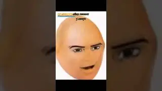 яйцо гавкает 5 минут