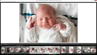 5 Tips for Culling Photographs
