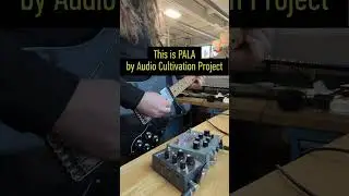 Sending x Audio Cultivation PALA