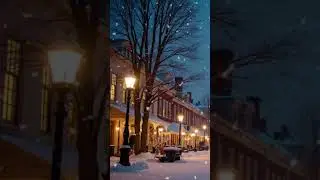 Small Town Snow Fall #fallingsnow #peacefulmusic #peacefulnature