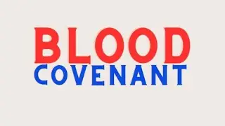 Blood Covenant Mark Visser