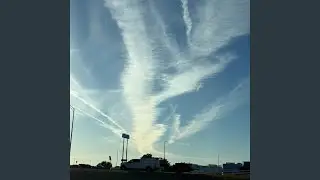 Internal Hit