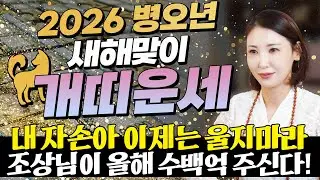 🌟2026년 병오년 개띠운세🌟힘들었던 2025년은 끝나고 금전,귀인,문서 다 들어오는 띠 나이는?! 조상님이 수백억 벌어다주는 58년생 70년생 82년생 94년생 개띠의 신년운세!