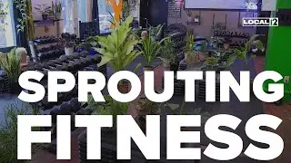 Plants thrive inside Cincinnati gym that doubles as plant shop thanks to people's sweat