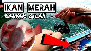 Terjumpa Lubuk IKAN MERAH banyak giler