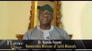 Dr  Kayode Fayemi Leadership and The Successor Generation