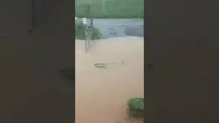 Flash flood here in Tennessee! Please pray for us