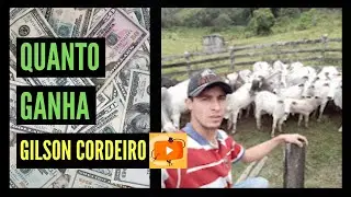 Quanto Ganha S&iacute;tio vs Cidade com Gilson Cordeiro? Atualizado 2024