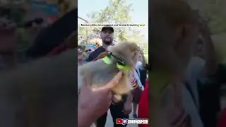 Monkey bites Ishowspeed and he starts barking 🤣 #ishowspeed #monkey #turkey #funny #viralshorts #fy