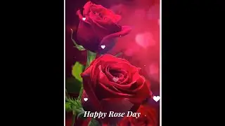 Rose Day Status 2021 | Happy Rose Day 2021 Whatsapp Status | Rose Day Status | Happy Rose Day 2021
