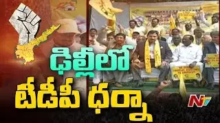 TDP Leaders Staged Protest in Delhi demanding AP Special Status | NTV