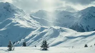 Silent Winter Forest at Dusk ❄️ Relaxing Music & Falling Snow | Cinematic Calm