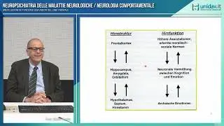 BREVE LEZIONE SUL LOBO FRONTALE - PROF. MARCO ONOFRJ