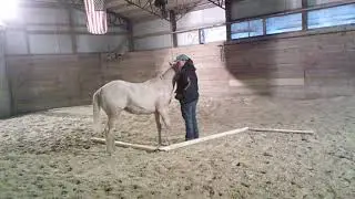 Senor Sonny Boon