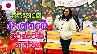 ජපානයේ මම ඉන්න ගමේ වර්ණවත් නගරය | Colour Ful Town Gifu Japan | LIFE IN JAPAN 🇯🇵